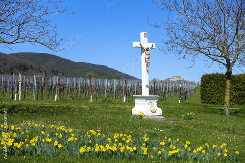 jesus cross in front of daffodils spring flowers and hambach castle in Sankt Martin, Palatinate, Germany photo