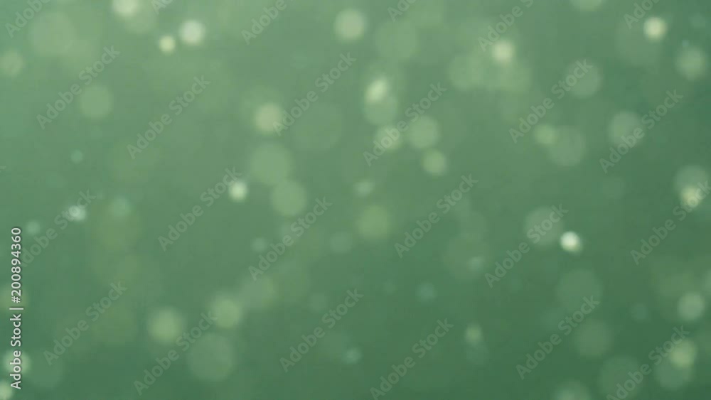 Plankton is under water. Daphnia moyna Plankton is under water. Daphnia moyna