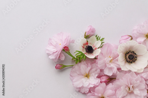 floral background of cherry and anemone flowers  © pulia