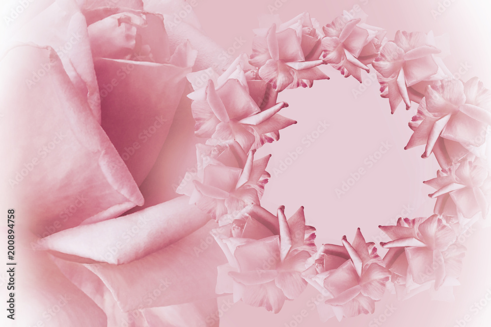 Obraz premium Floral pink-white beautiful background. Flower composition. Frame of pink flowers roses on light pink background. Rose close-up. Nature.