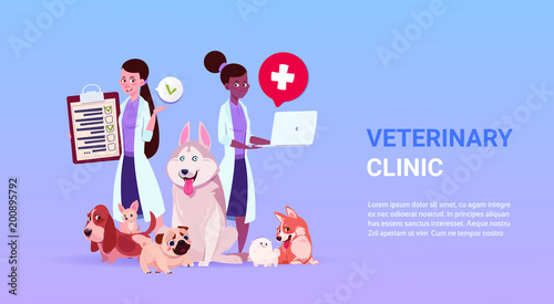 Veterinary Clinic Poster With Female Doctors Ver And Group Of Dogs Over Template Background Flat Vector Illustration
