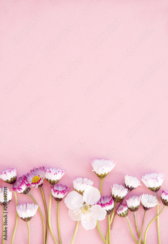 Flowers on bright color background. Happy spring concept