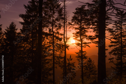Schwarzwald Sonnenuntergang