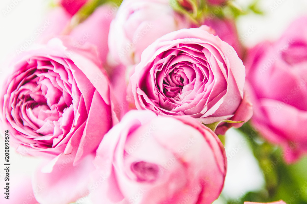 Pink roses bouquet in a bright natural light Pink roses bouquet in a bright natural light