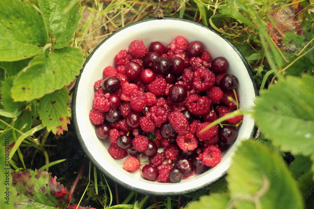 A bowl of fresh berries A bowl of fresh berries