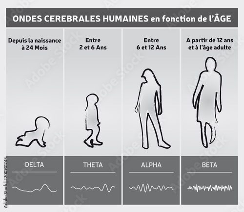 Ondes Cérébrales Humaines - Diagramme en Fonction de l'Age / Infographie en Noir et Blanc / Niveaux Gris en Français