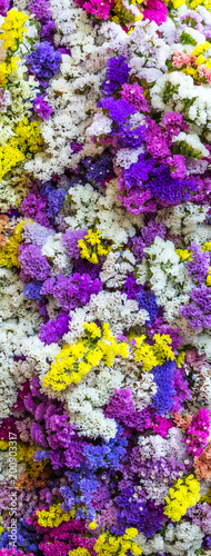 Fundo com flores coloridas photo