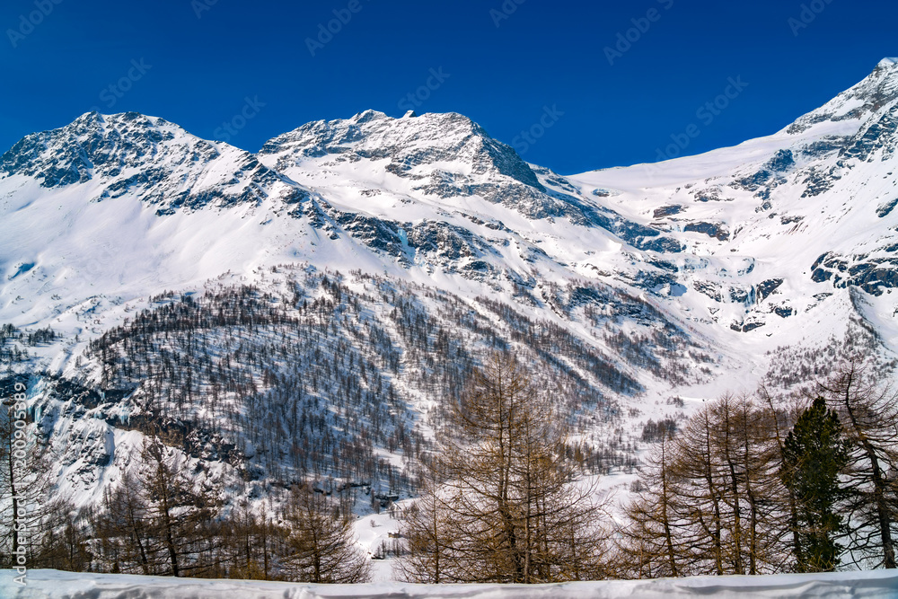 Fototapeta premium View of Alps covered with snow from the Bernina Express train
