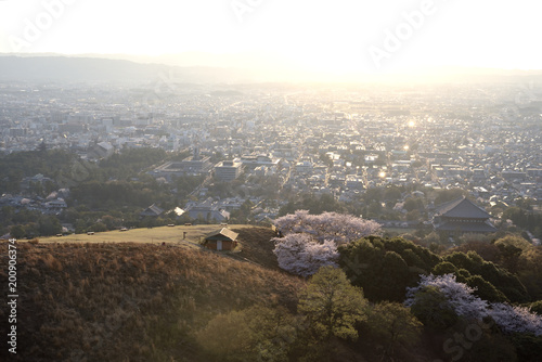 夕方の若草山から望む奈良市街と東大寺 © Ken Ishi