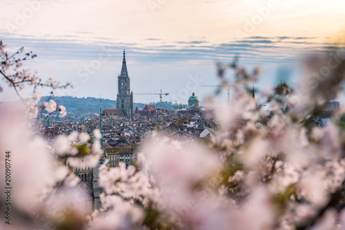 Abendstimmung über Berner Altstadt während der Kirschblüte