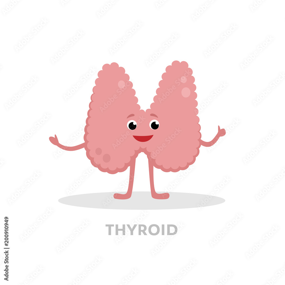 Vecteur Stock Strong healthy thyroid gland cartoon character isolated