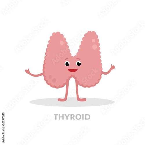 Strong healthy thyroid gland cartoon character isolated on white background. Happy thyroid icon vector flat design. Healthy organ and hormonal system concept medical illustration.