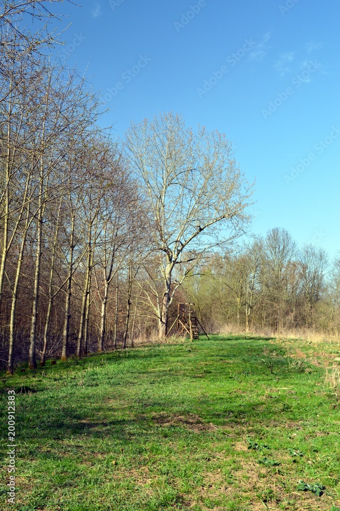 Wooden high stand for hunters, on a field near Leipzig, for shooting wild