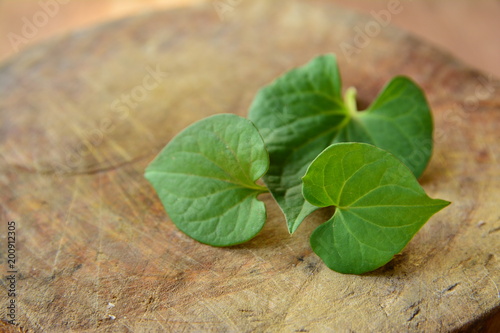 Houttuynia cordata Thunb on wooden table