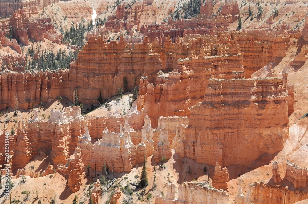 Felslandschaft mit Hoodoos, Bryce Canyon Nationalpark, Utah, Amerika, USA, Nordamerika