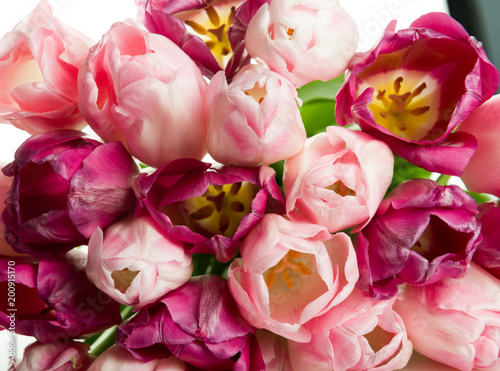 Fototapeta Naklejka Na Ścianę i Meble -   bouquet of pink tulips