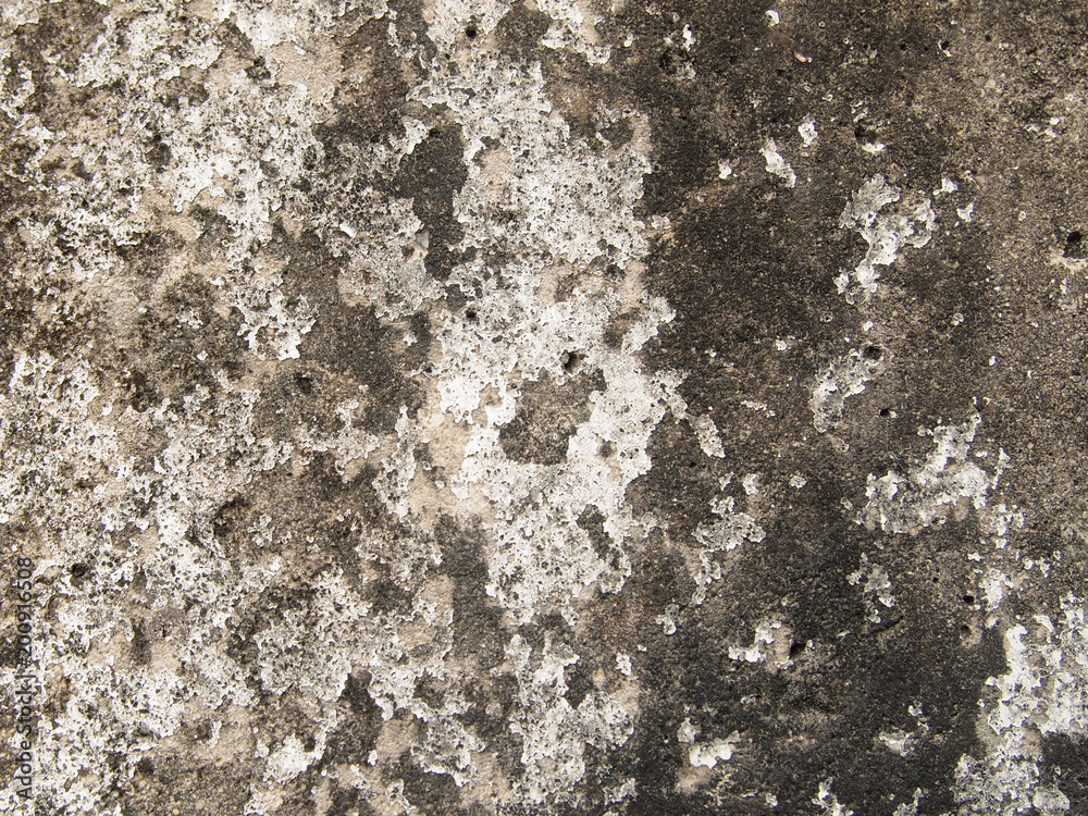 Fototapeta premium Old wall texture background