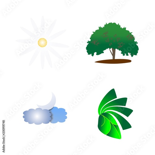 icon Nature with summer  garden  leaf  weather and organic