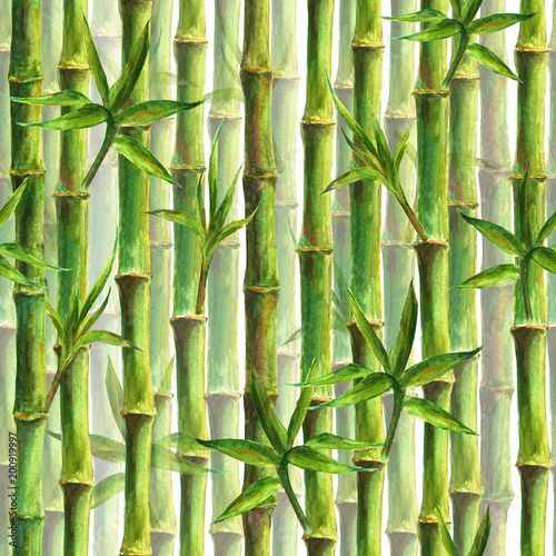 Fototapeta Naklejka Na Ścianę i Meble -  Green bamboo forest seamless pattern