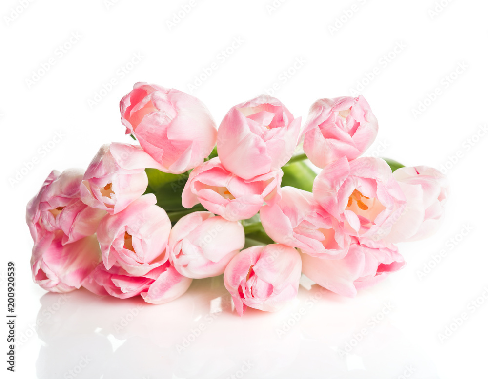 Bouquet of pink tulips isolated on white Bouquet of pink tulips isolated on white