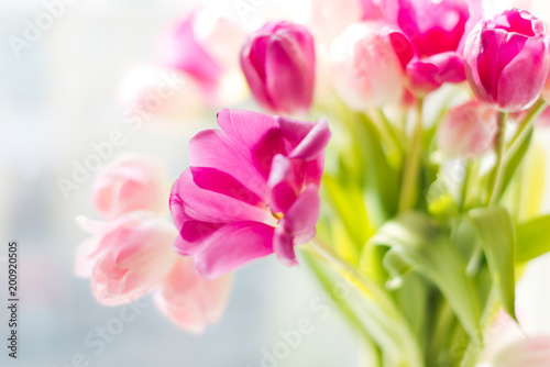 A bouquet of  tulips in a vase. Soft selective focus