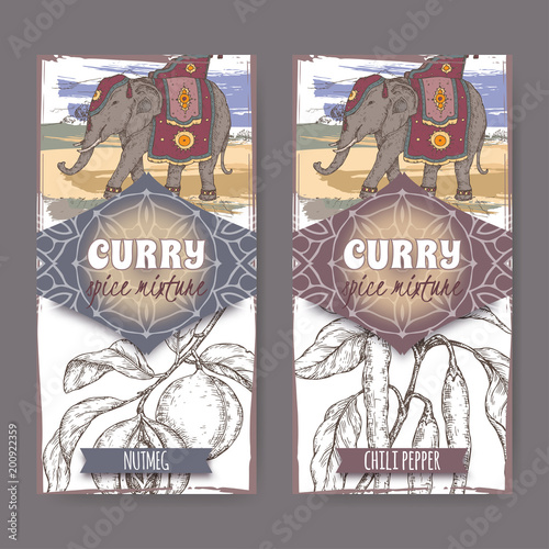 Set of two labels with Nutmeg, chili peppers and Indian elephant hand drawn color sketch.