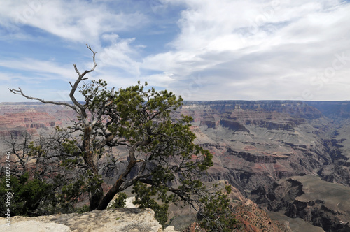 Blick in den Grand Canyon, Arizona, USA, Nordamerika