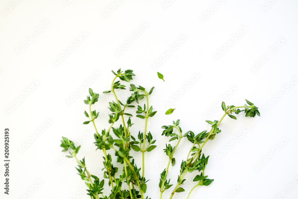 Bunch of fresh thyme on white background with copy space Bunch of fresh thyme on white background with copy space