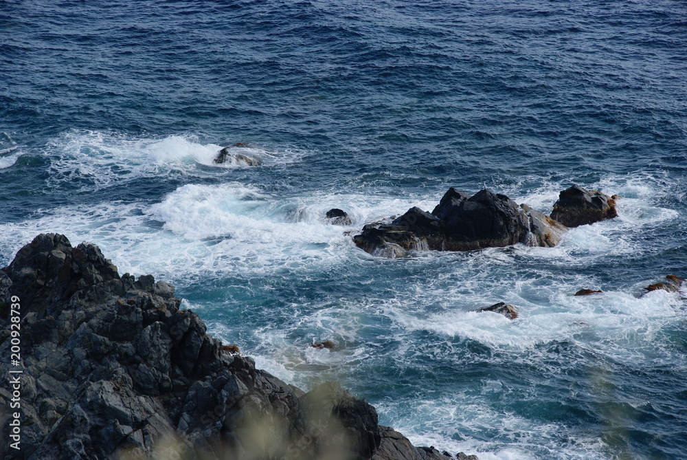 Obraz premium SONY DSC