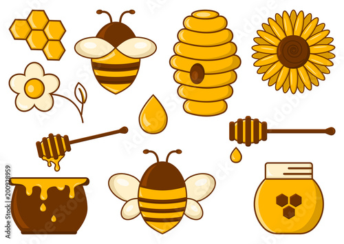 Colored honey set. Vector illustration