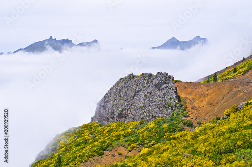 Foggy view in mountains, Madeira, Portugal