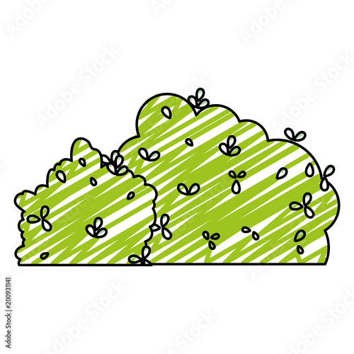 doodle nature leaves bushes spring plant