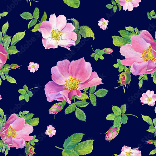 Rose Hip.Watercolor wild rose flowers on a dark background. illustration. Dog-rose.Seamless pattern.Can be used for textile fabric  wrapping paper design a web site.