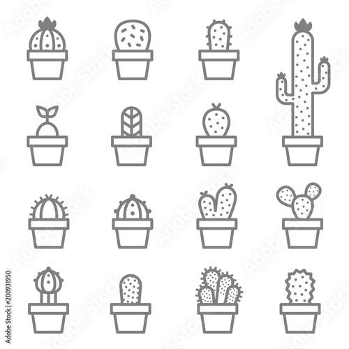 cactus and succulent vector icon set