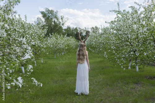 Teen beautiful blonde girl wearing white dress with deer horns on her head and white flowers in hair stays with her back turned away in a blooming garden covered with white flowers. © Алексей Торбеев