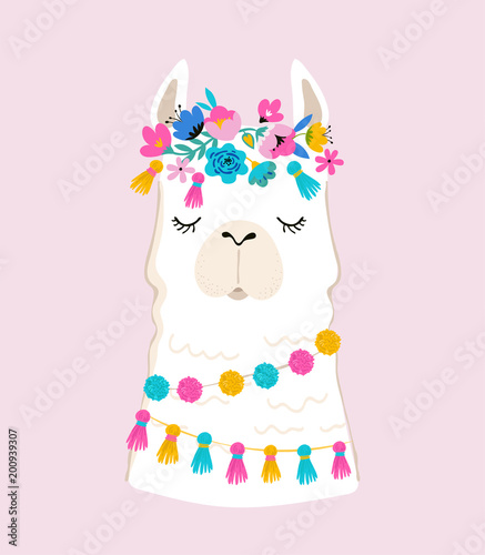 Llama illustration, cute hand drawn elements and design for nursery design, poster, greeting card