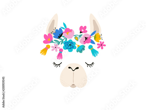 Llama illustration, cute hand drawn elements and design for nursery design, poster, greeting card