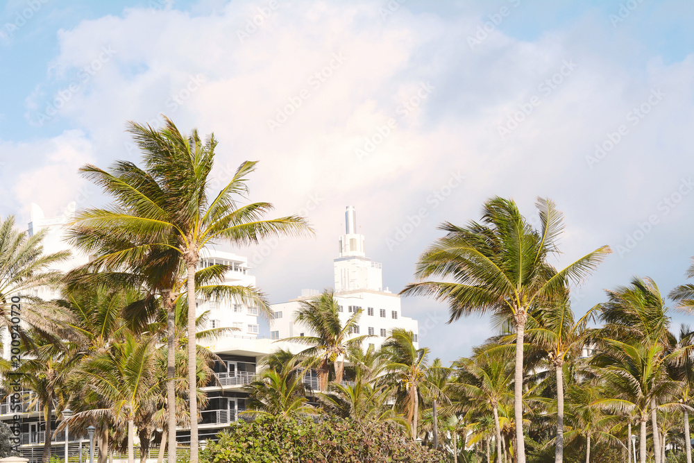 Miami Beach with palm trees.