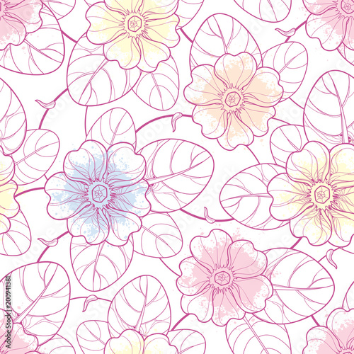 Vector seamless pattern with outline Primula or Primrose flower and leaves in pastel pink colors on the white background. Elegance floral pattern with Primula in contour style for spring design.
