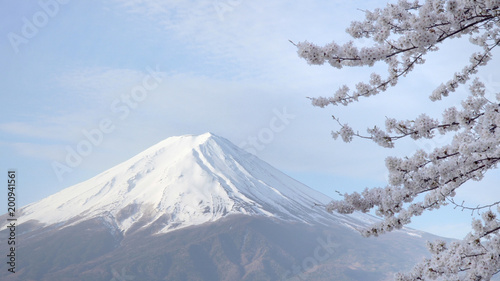 mount Fuji scenery at Kawaguchiko lake,Japan famous travel destination,Cherry Blossom in Japan spring season.