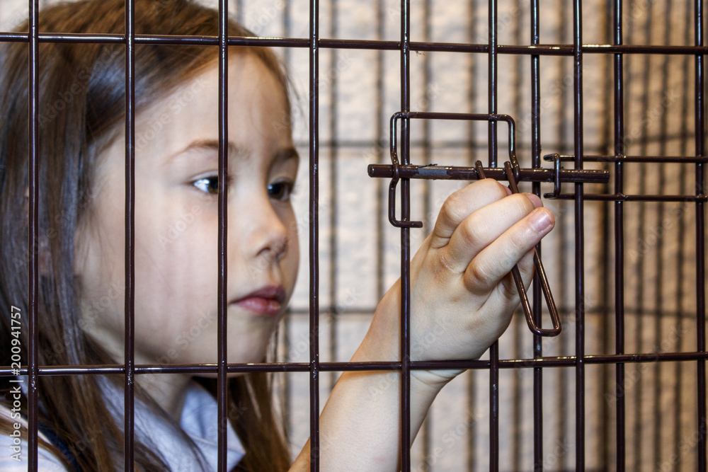 Hand of the child opening the iron cage from the inside. Exemption Stock  Photo | Adobe Stock