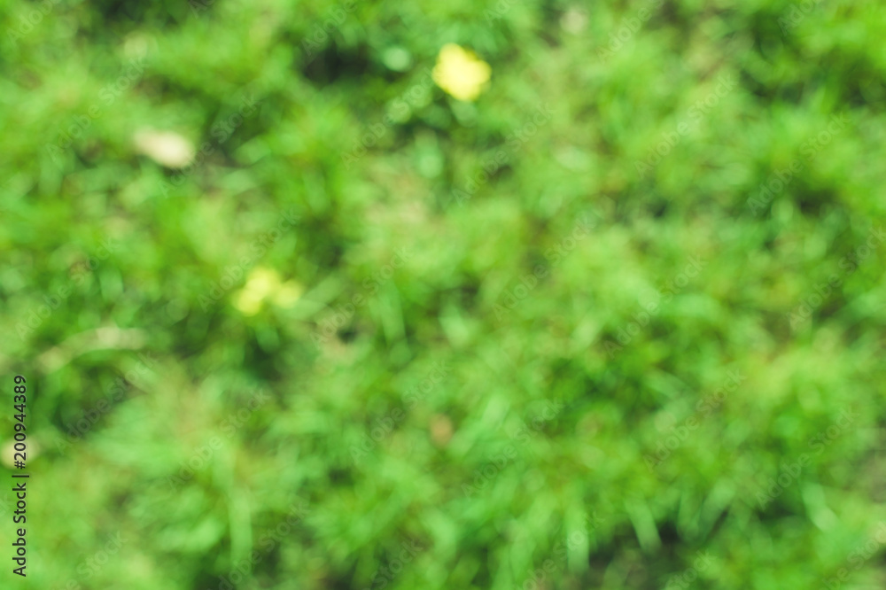 Blur background dream bokeh leaf sunny day background concept for modern eco spring banner decoration christian card. fresh bio green texture. A juicy green background for spring or summer Blur background dream bokeh leaf sunny day background concept for modern eco spring banner decoration christian card. fresh bio green texture. A juicy green background for spring or summer