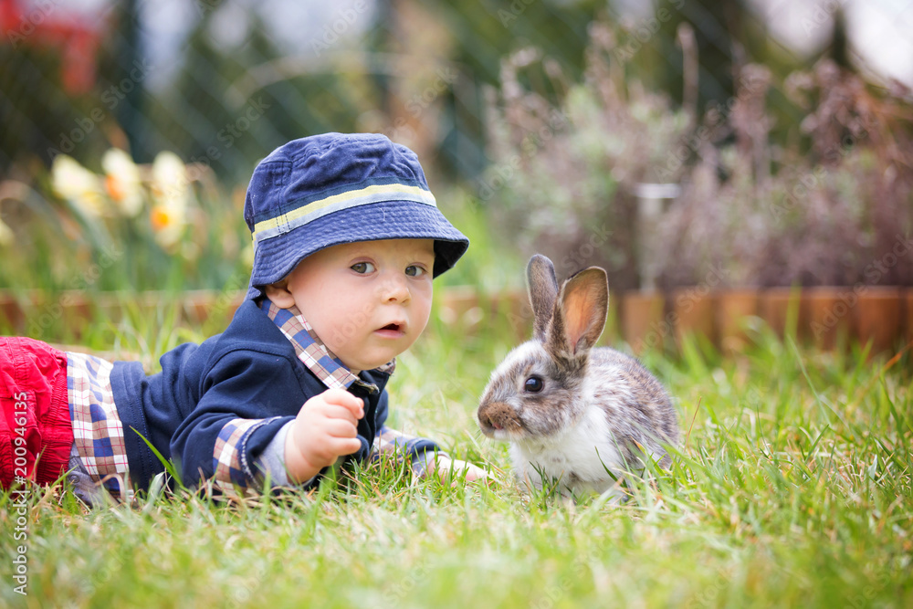 Sweet toddler boy in garden, child playing with little bunny, springtime Sweet toddler boy in garden, child playing with little bunny, springtime