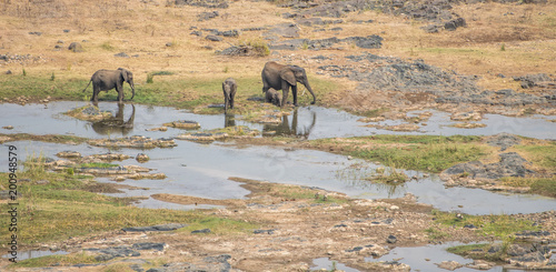 Elphant Family photo