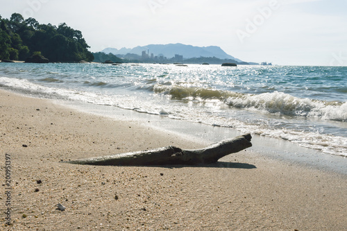 Tree trunk against sun on a sand beach on tropical island in ocean photo