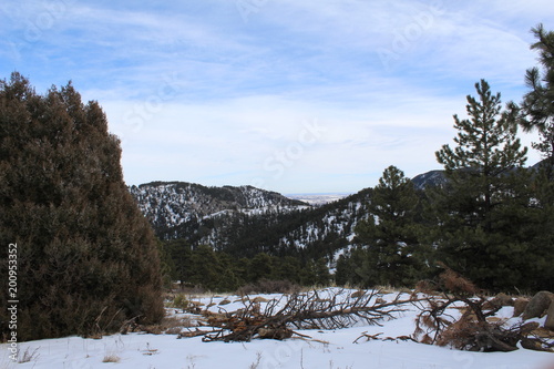colorado landscape and animals