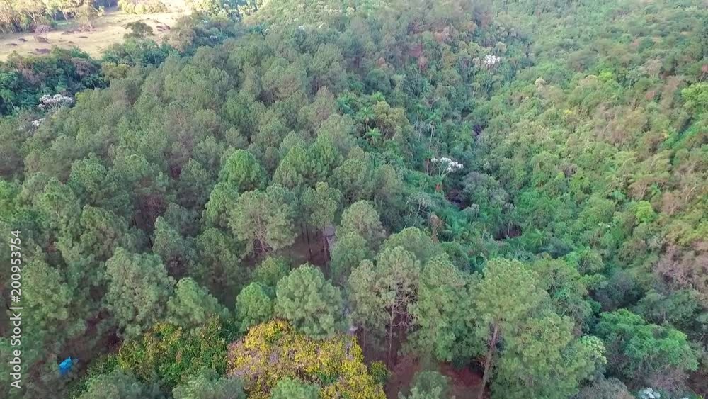 Aerial drone flyby on top of trees in the forest with some people and tents occluded