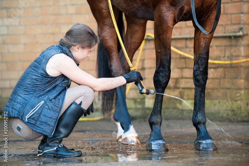 Young lady washing horse hoof by stream of water from a hose