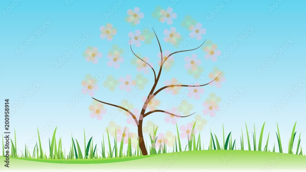 Animação com flores coloridas