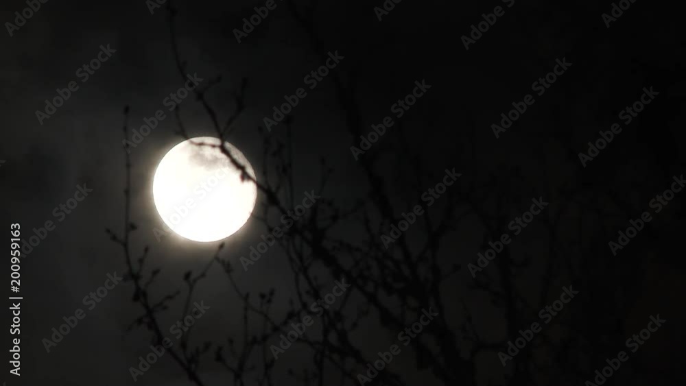 Dark clouds passing glowing full blue moon at night with creepy old wicked branches in the foreground.
